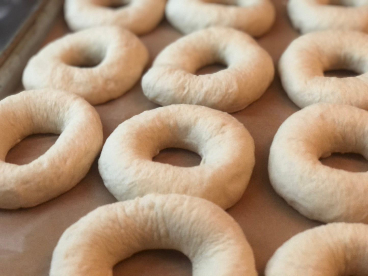 Homemade Everything Bagel Kit, NYC Style Bagel, DIY Bread Kit, NYC Foods, Sesame Bagels, Bagels from scratch, Foodie Gift, Homemade Bagel