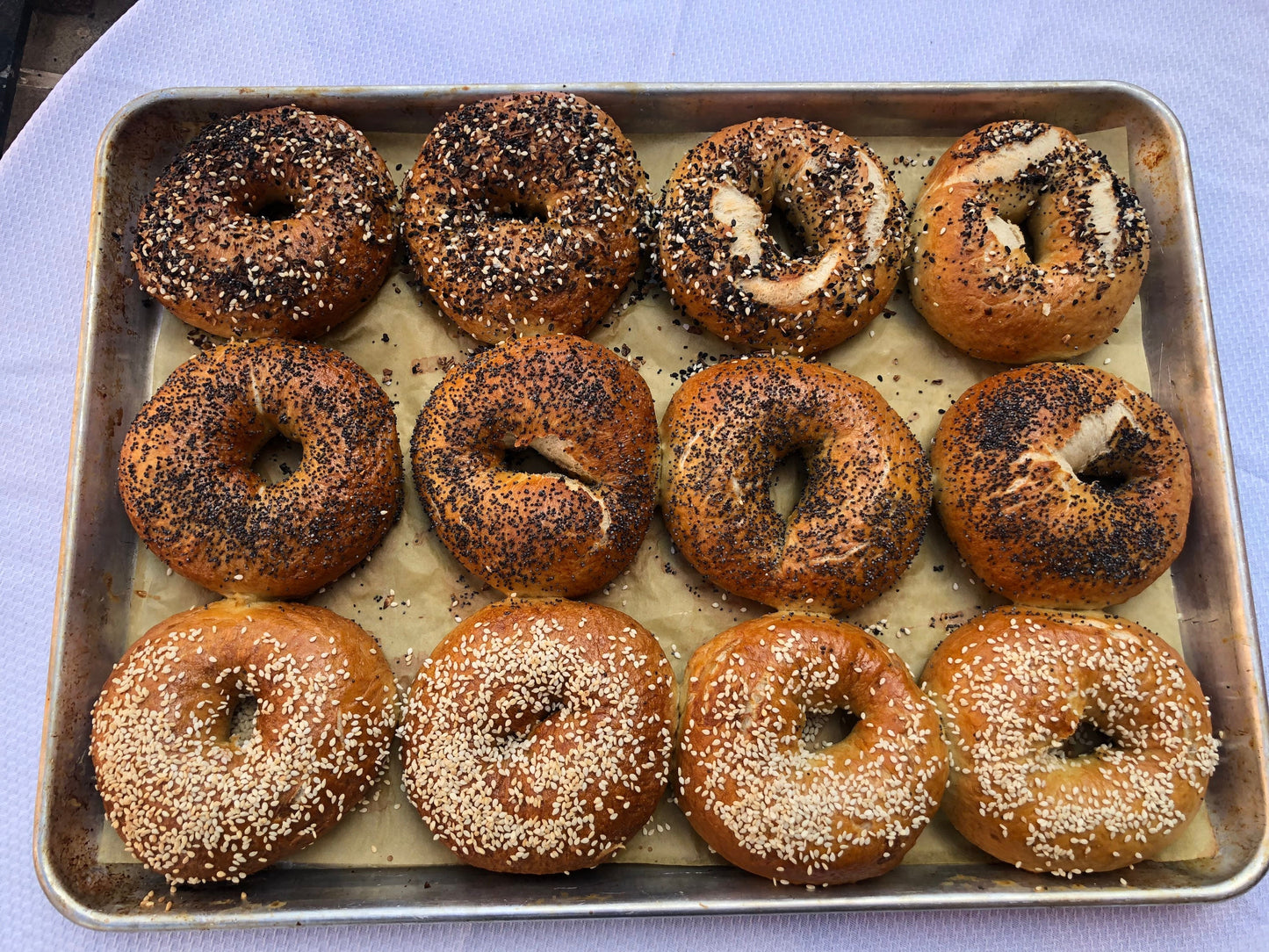 Homemade Everything Bagel Kit, NYC Style Bagel, DIY Bread Kit, NYC Foods, Sesame Bagels, Bagels from scratch, Foodie Gift, Homemade Bagel