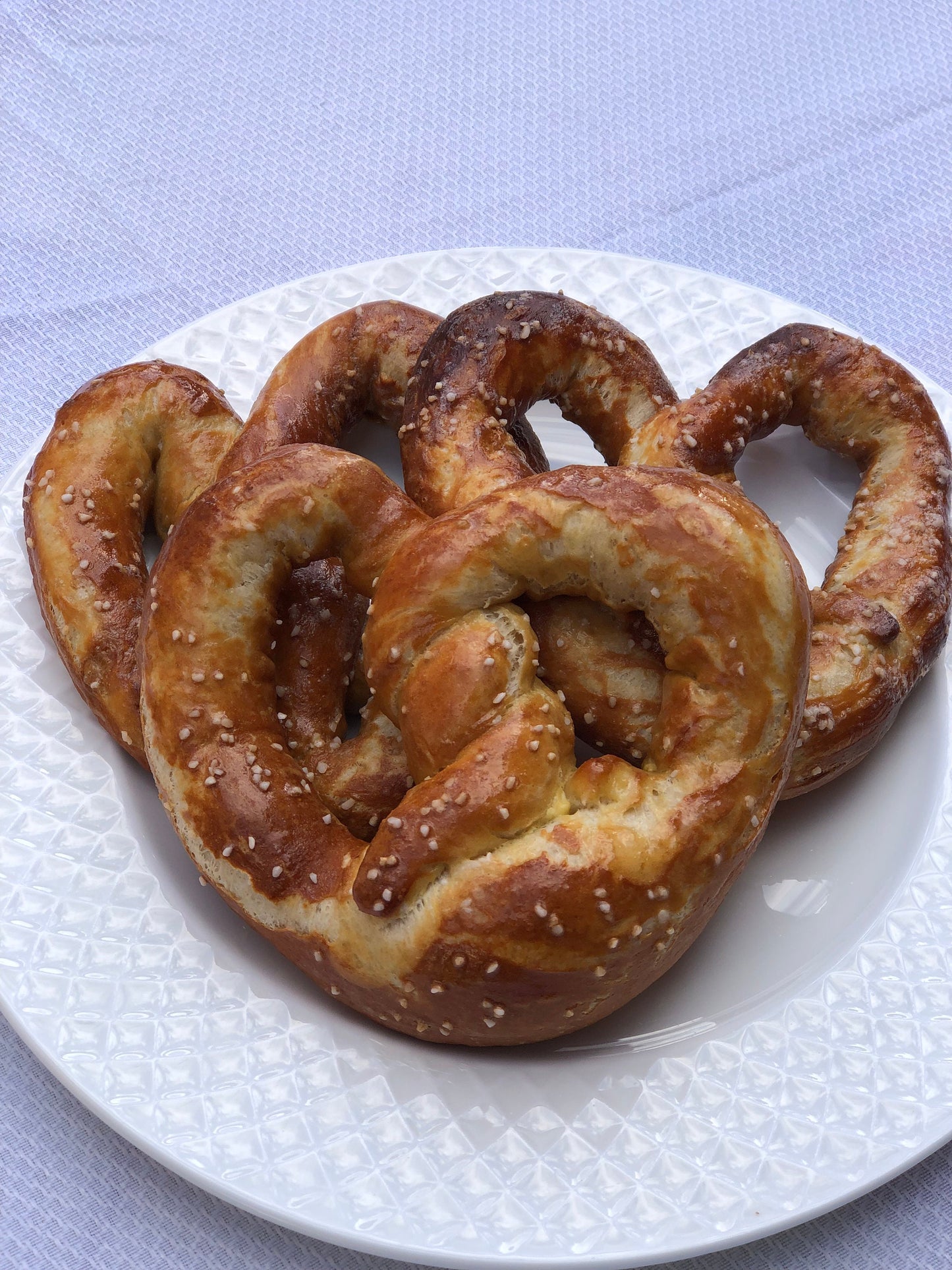 DIY Soft Pretzel Kit | Baking Kit | Employee Gift | Birthday Gift | Team Building, Fun for Kids, Foodie Gift, Homemade Pretzel
